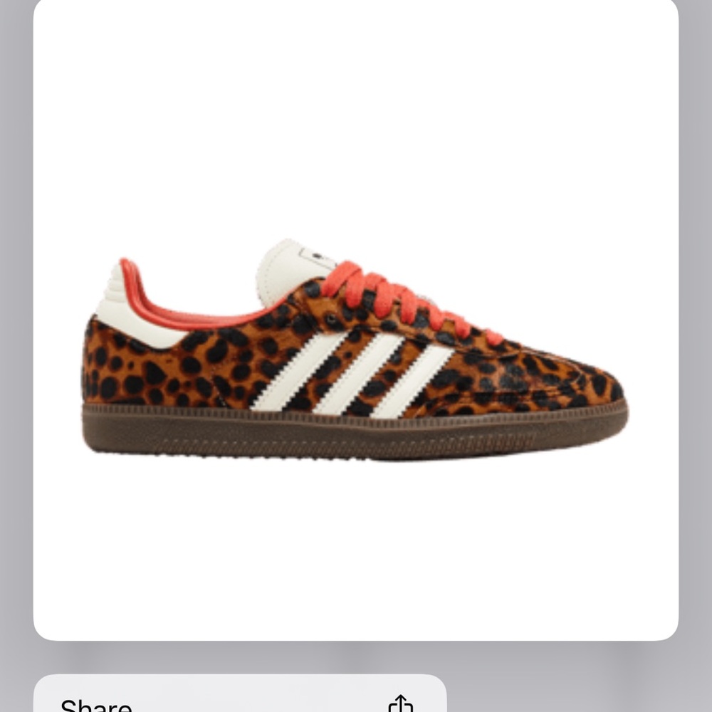New in box leopard samba